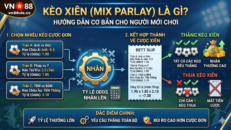 Bí Kíp Lên Xiên Chuẩn Xác Từ Chuyên Gia VN88